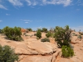 USA 2014 12 Fahrt Dover Creek - Canyonlands 444