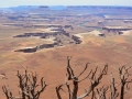 USA 2014 12 Fahrt Dover Creek - Canyonlands 450