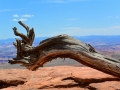 USA 2014 12 Fahrt Dover Creek - Canyonlands 457