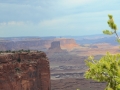 USA 2014 12 Fahrt Dover Creek - Canyonlands 459