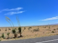 USA 2014 17 Fahrt Tombstone 0795