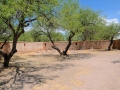 USA 2014 20 Fahrt Tucson 830
