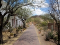 USA 2014 20 Fahrt Tucson 855