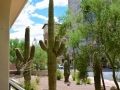 USA 2014 21 Tucson 866