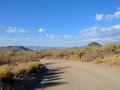 USA 2014 23 Saguaro NP 952