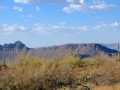 USA 2014 23 Saguaro NP 953