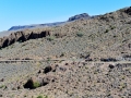 USA 2014 26 Oatman 1024