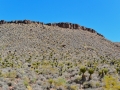 USA 2014 26 Oatman 1025