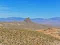 USA 2014 26 Oatman 1027
