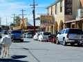 USA 2014 26 Oatman 1035