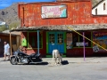 USA 2014 26 Oatman 1046