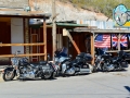 USA 2014 26 Oatman 1048