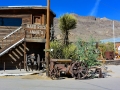 USA 2014 26 Oatman 1053