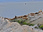argentinien-2011-1009-beagle-kanal