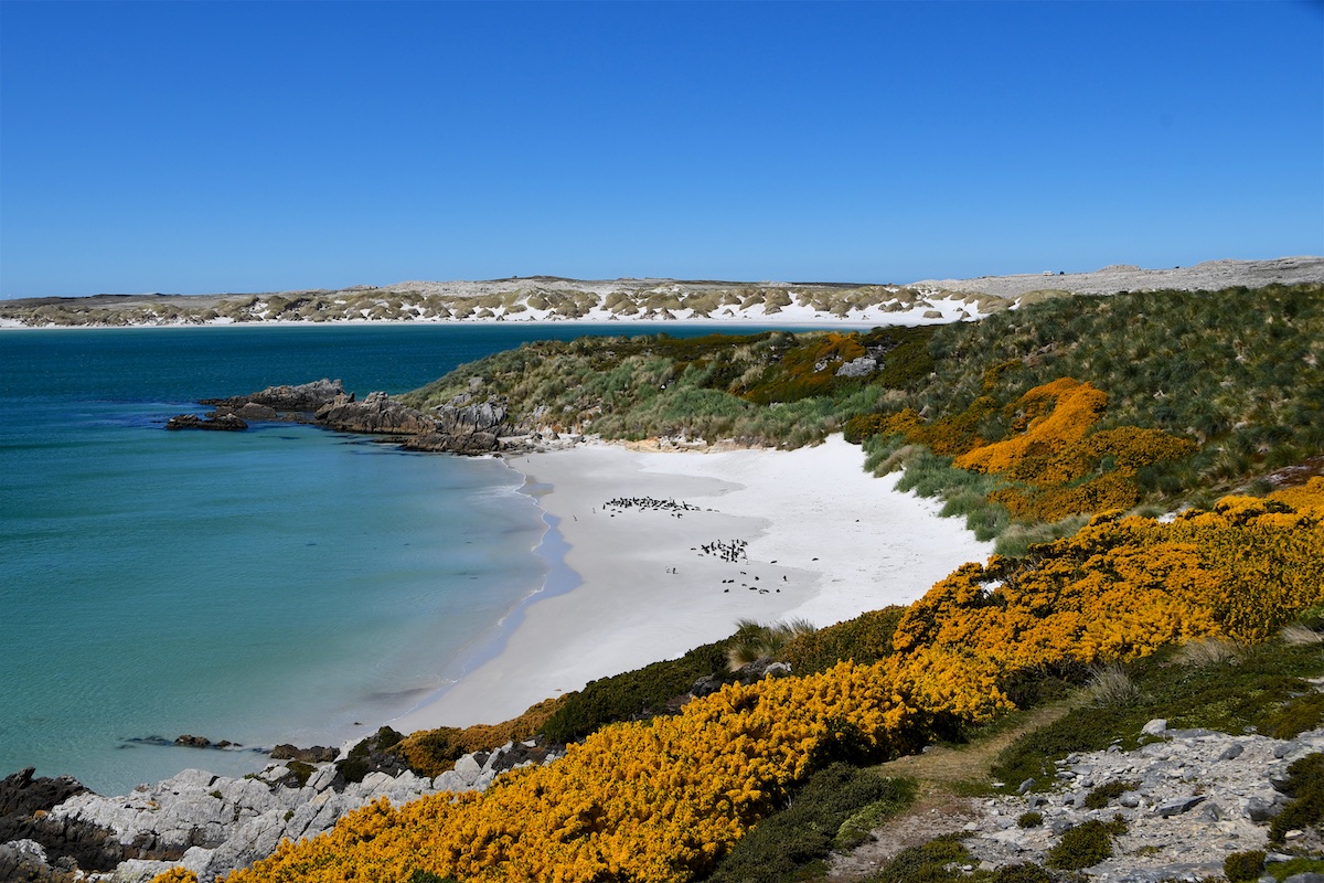 FALKLANDINSELN REISEF HRER AUF WIKIVOYAGE visual data 5